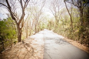 Pathway to Perasi White Sand beach