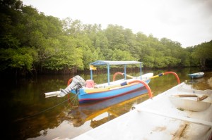 Mangrove, Nusa Lembongan