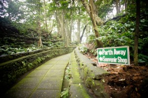 Monkey Forest, Ubud
