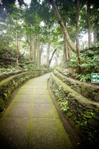 Monkey Forest, Ubud