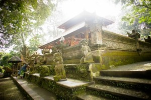 Monkey Forest, Ubud