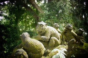 Monkey Forest, Ubud