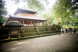 Monkey Forest, Ubud