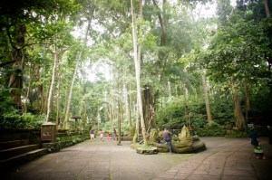 Monkey Forest, Ubud