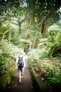 Monkey Forest, Ubud