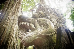 Monkey Forest, Ubud