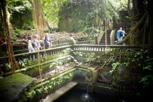 Monkey Forest, Ubud