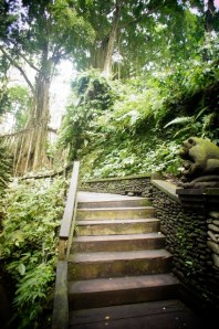 Monkey Forest, Ubud