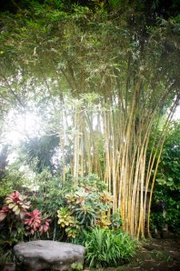 Antonio Blanco Museum, Ubud