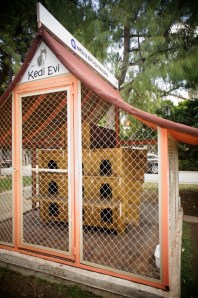 a kitty house, Antalya, Turkey