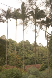 Penang Hill, George Town, Malaysia