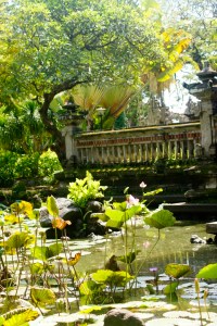 Bali Art Center, Denpasar (Jan 2015)