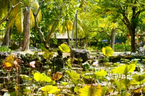 Bali Art Center, Denpasar (Jan 2015)