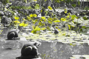 Bali Art Center, Denpasar (Jan 2015)