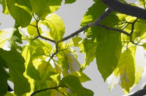 Bali Art Center, Denpasar (Jan 2015)